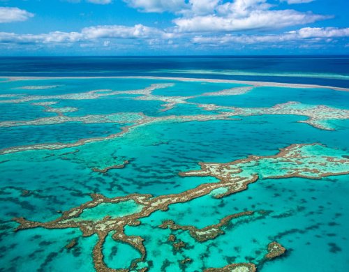 great barrier.jpg great barrier.jpg