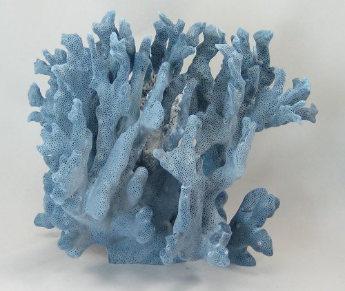 blue coral.jpg