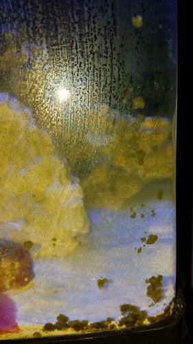 20180129_224417.jpg 20180129_224417.jpg