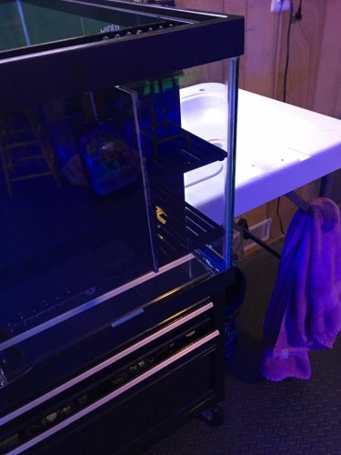 20l3.jpg