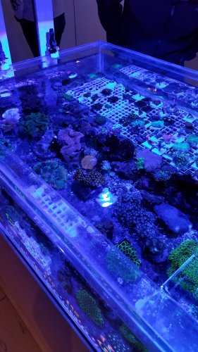 20180218_125106.jpg