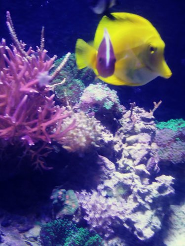 20180220_170827_Film1.jpg