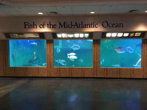 IMG_1782.JPG IMG_1782.JPG