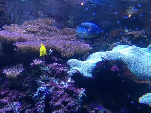 IMG_1793.JPG IMG_1793.JPG