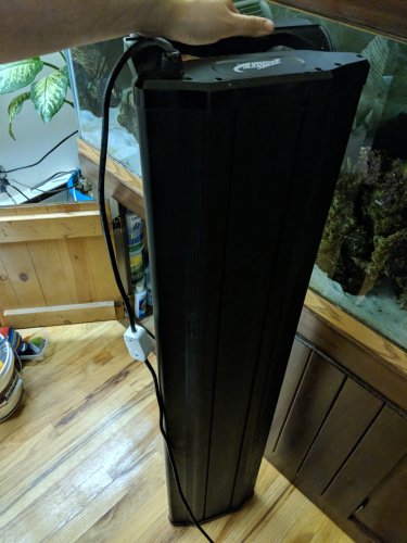 MVIMG_20180329_202107.jpg