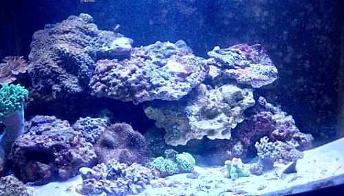 IMG_20180330_105304_hdr.jpg