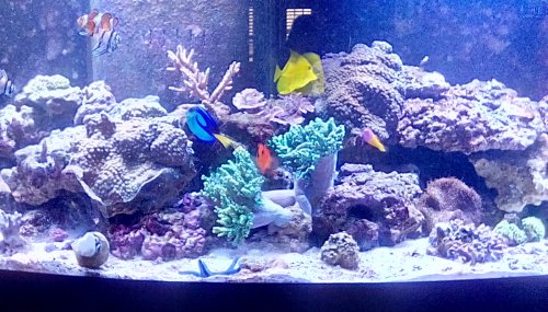 IMG_20180330_105255_hdr.jpg