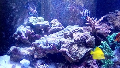 IMG_20180330_105243_hdr.jpg