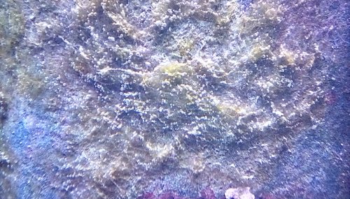 IMG_20180408_105123_hdr.jpg