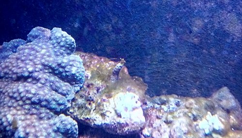 IMG_20180408_105116_hdr.jpg