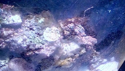 IMG_20180421_080516_hdr.jpg
