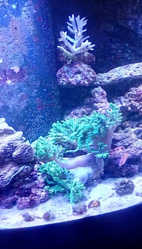 IMG_20180425_190727_hdr.jpg