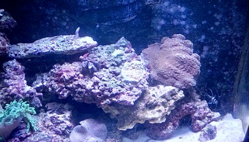 IMG_20180425_171507_hdr.jpg