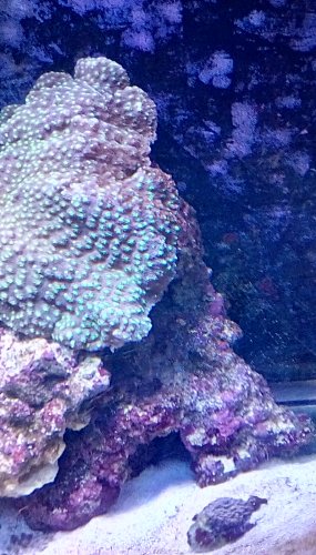 IMG_20180506_104642_hdr.jpg