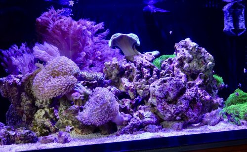 DSC04000 (1).jpg DSC04000 (1).jpg