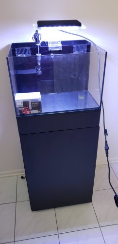 20180902_100036.jpg 20180902_100036.jpg