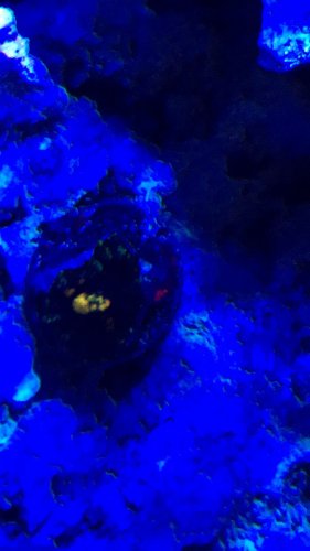 D55318D8-C022-40D6-93B0-5771F3163016.jpeg