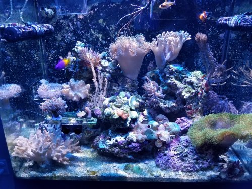20180917_202547.jpg