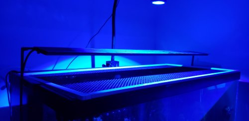 20180928_071535.jpg 20180928_071535.jpg