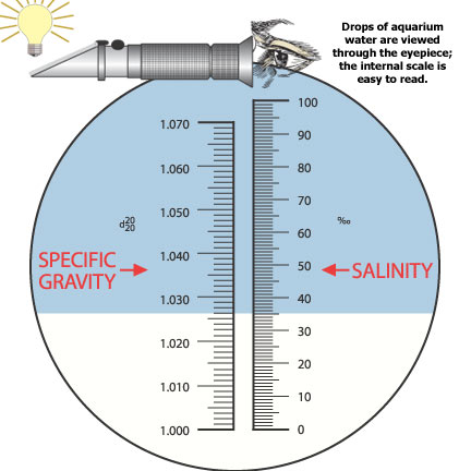 lg_refractometer_zpszhqcnbbl.jpg