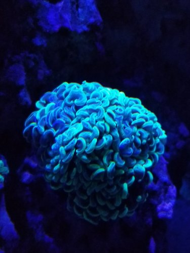 20181026_204331.jpg