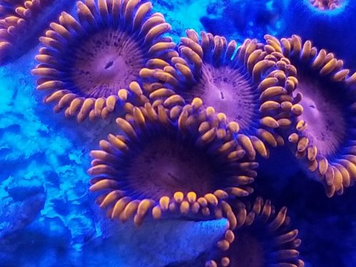 20181031_163947.jpg