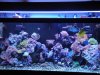 DSC01411.jpg