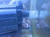 Fish tank 005.jpg