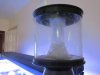 Fish tank 002.jpg