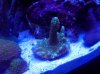 20120826_102352.jpg