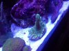 20120826_102357.jpg