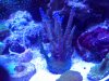 20120826_102403.jpg