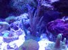 20120826_102411.jpg