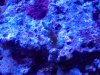 20120826_102425.jpg