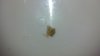 2012-08-10_23-26-33_101.jpg 2012-08-10_23-26-33_101.jpg