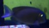 Capture1.JPG