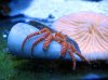 20120921-2000-large.jpg
