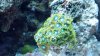 2012-10-12_20-18-57_803.jpg 2012-10-12_20-18-57_803.jpg