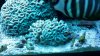 2012-10-12_20-18-49_79.jpg 2012-10-12_20-18-49_79.jpg