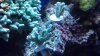 2012-10-12_20-19-07_819.jpg 2012-10-12_20-19-07_819.jpg