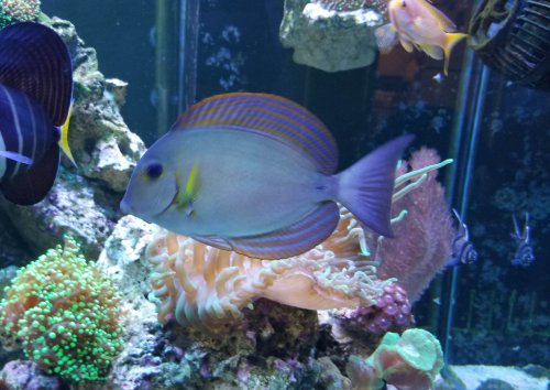 20190330_173118.jpg