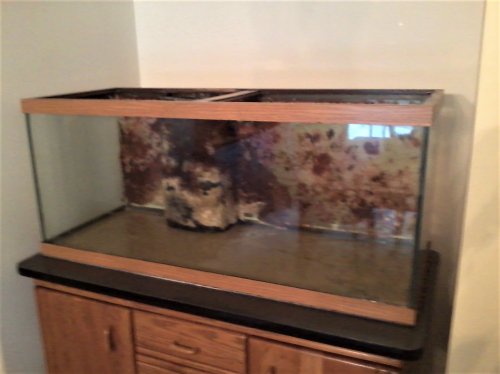 75 Gallon AGA.jpg 75 Gallon AGA.jpg