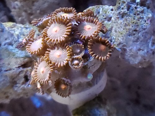 20190525_185049.jpg