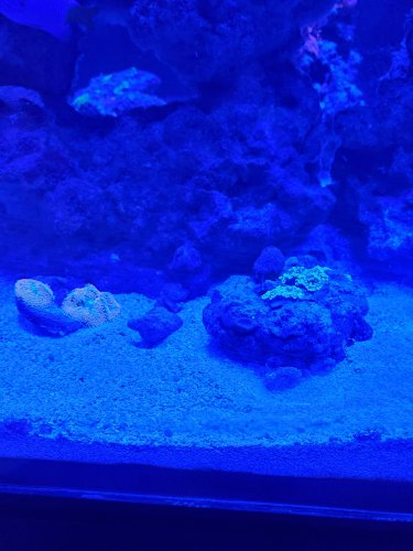 20190604_140426.jpg 20190604_140426.jpg