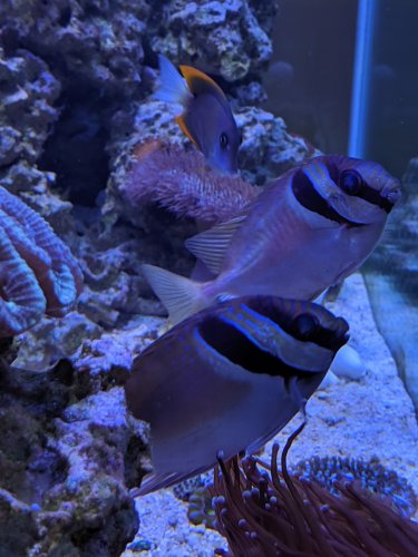 MVIMG_20190707_162531.jpg