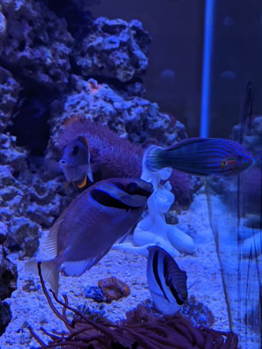 MVIMG_20190707_162739.jpg