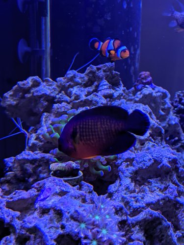 MVIMG_20190707_162647.jpg