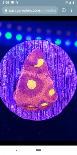 Screenshot_20190819-080820.png