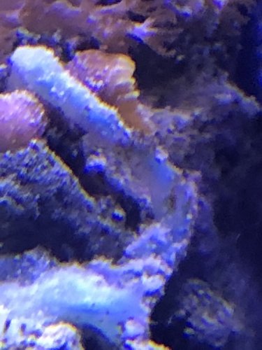 F0E46356-F02B-4C9A-AA8C-4640FFFB2F73.jpeg