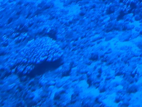 MVIMG_20190901_115250.jpg